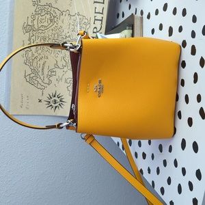 COACH Small Town Bucket Bag